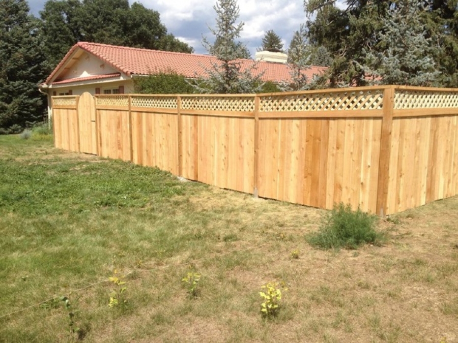 Benefits Of Privacy Fencing For Creating A Backyard Sanctuary