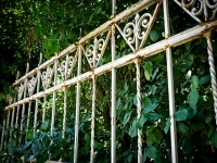 How an old fence can bring down your home&#039;s value