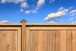 Cedar vs Treated Wood Fence: Which is Best for Colorado's Front Range?