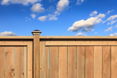 Cedar vs Treated Wood Fence: Which is Best for Colorado&#039;s Front Range?