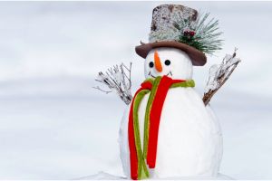 5 Reasons You Should Replace Your Fence This Winter