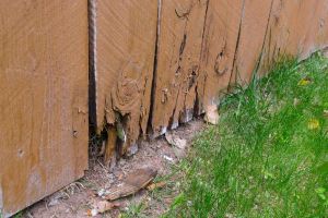How Long Will a Fence Last in Colorado?