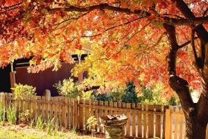 Southern Colorado Fall Fence Maintenance Tips