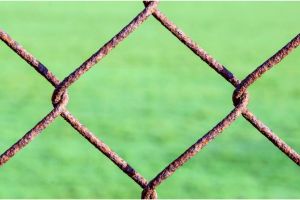 Chain link fence maintenance tips