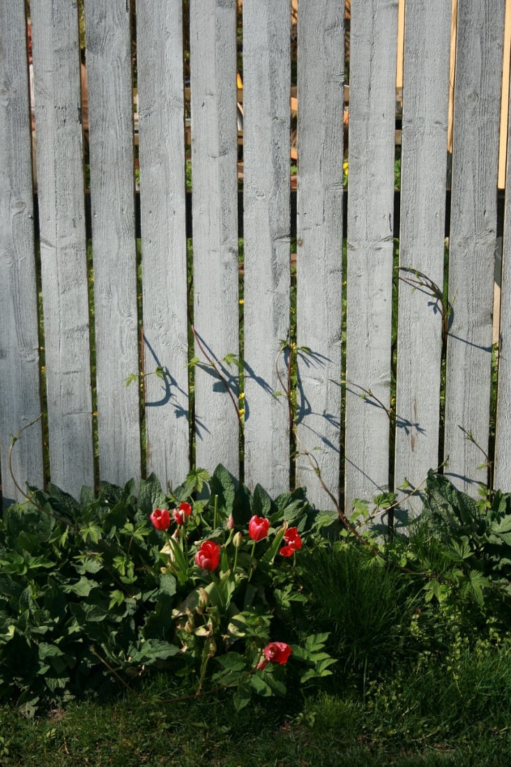 Should I repair or replace my fence?