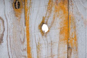 How To Refresh The Look Of An Older Fence