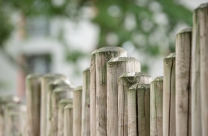 Tending to an old fence - Is it time to replace it?
